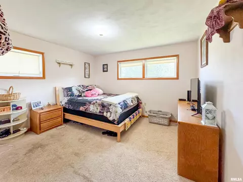 306 W Bertram St, Metamora, IL 61548 photo 10