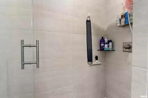 Bath - 3115 W Boulder Point Ct, Dunlap, IL 61525 photo 4 of 6
