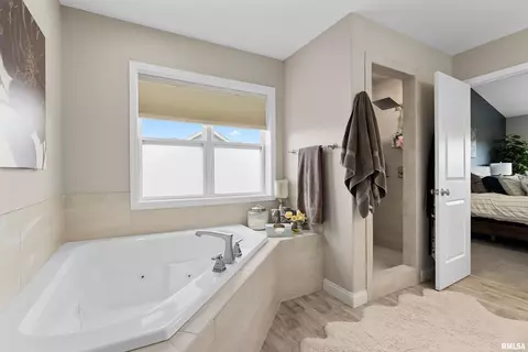 Bath - 3115 W Boulder Point Ct, Dunlap, IL 61525 photo 3 of 6