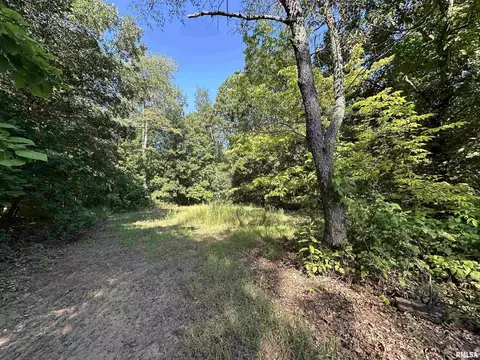 25248 County Road 2080 N Rd, Topeka, IL 61567 photo 47