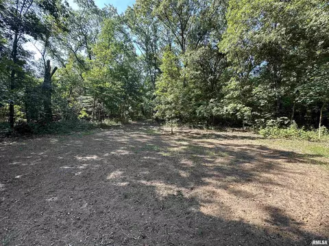 25248 County Road 2080 N Rd, Topeka, IL 61567 photo 53