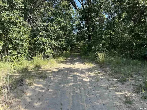 25248 County Road 2080 N Rd, Topeka, IL 61567 photo 46