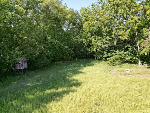 25248 County Road 2080 N Rd, Topeka, IL 61567 photo 41