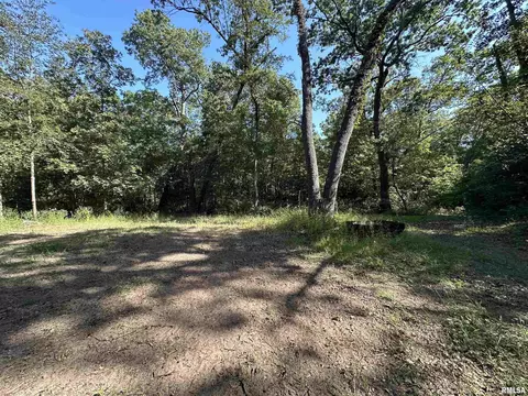 25248 County Road 2080 N Rd, Topeka, IL 61567 photo 52