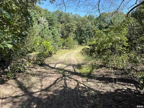25248 County Road 2080 N Rd, Topeka, IL 61567 photo 45