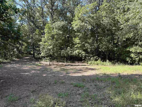 25248 County Road 2080 N Rd, Topeka, IL 61567 photo 54