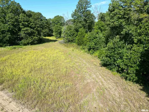 25248 County Road 2080 N Rd, Topeka, IL 61567 photo 32