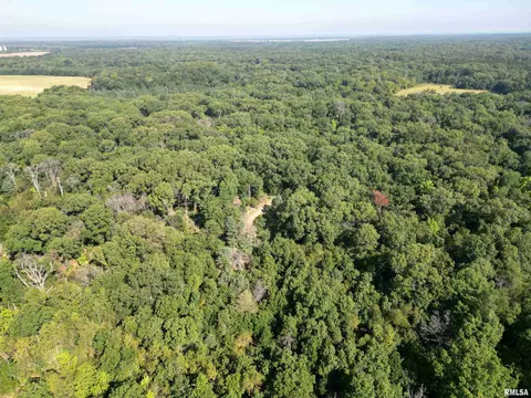 25248 County Road 2080 N Rd, Topeka, IL 61567 photo 26