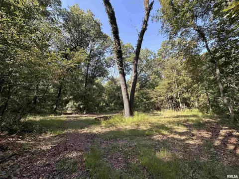 25248 County Road 2080 N Rd, Topeka, IL 61567 photo 50