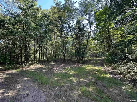 25248 County Road 2080 N Rd, Topeka, IL 61567 photo 49