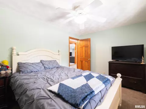 Bedroom - 4021 S Dunbar Pt, Mapleton, IL 61547 photo 3 of 3