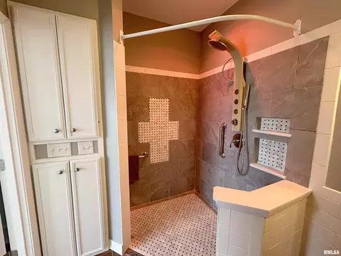Bath - 11513 N Ballymore Ave, Dunlap, IL 61525 photo 3 of 13