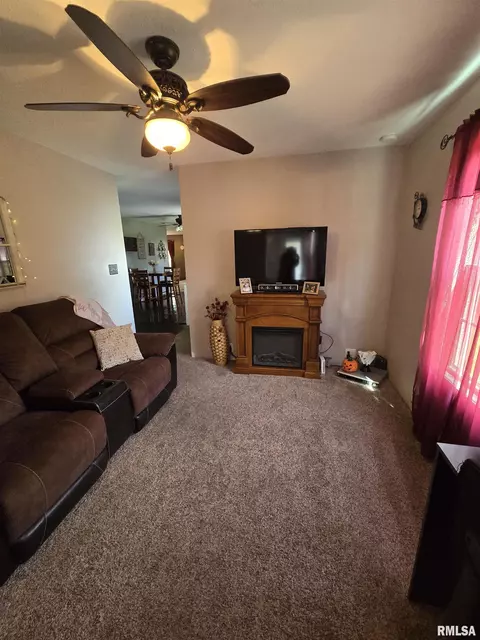 558 130th St, Avon, IL 61415 photo 7