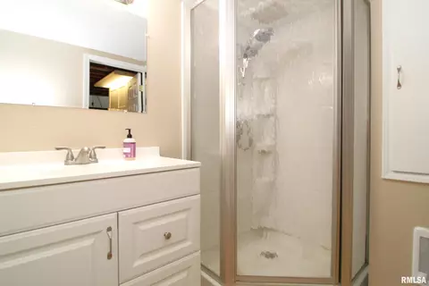 1027 Elmhurst Ave, Peoria, IL 61603 photo 54