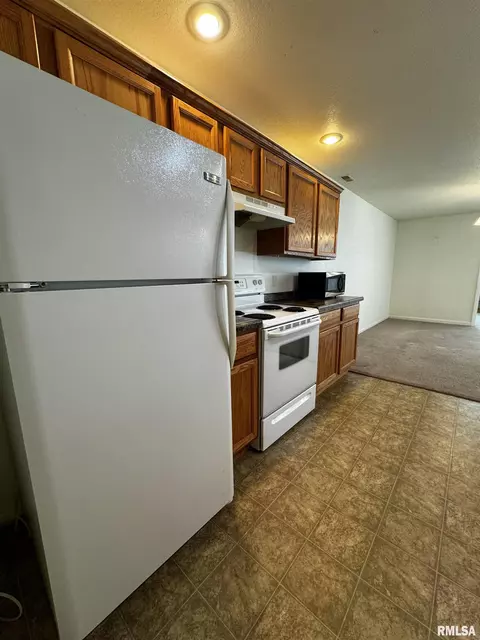 303 Scotch Pine Dr, Macomb, IL 61455 photo 13