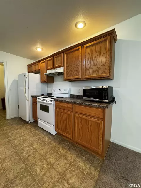 303 Scotch Pine Dr, Macomb, IL 61455 photo 12