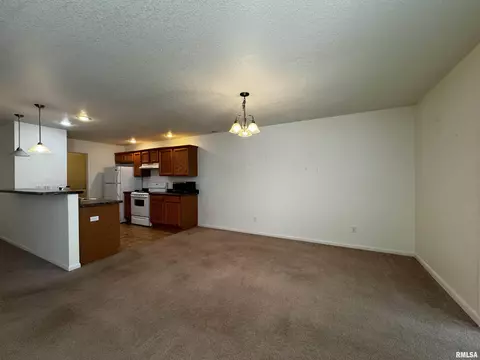 303 Scotch Pine Dr, Macomb, IL 61455 photo 7
