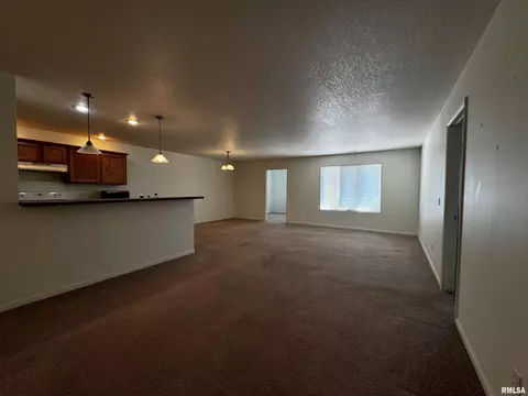 303 Scotch Pine Dr, Macomb, IL 61455 photo 5