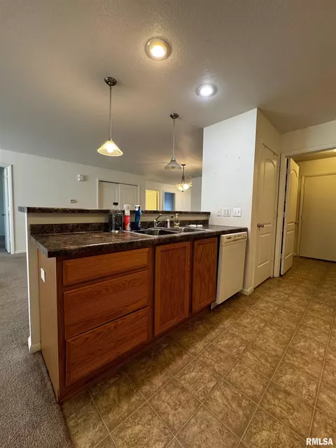 303 Scotch Pine Dr, Macomb, IL 61455 photo 10