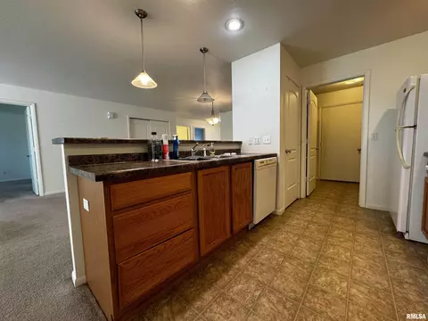 303 Scotch Pine Dr, Macomb, IL 61455 photo 9