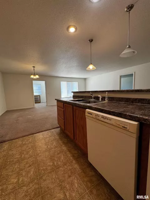 303 Scotch Pine Dr, Macomb, IL 61455 photo 11