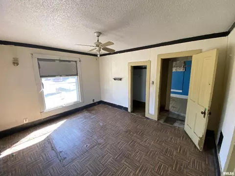 69 E Olive St, Canton, IL 61520 photo 8