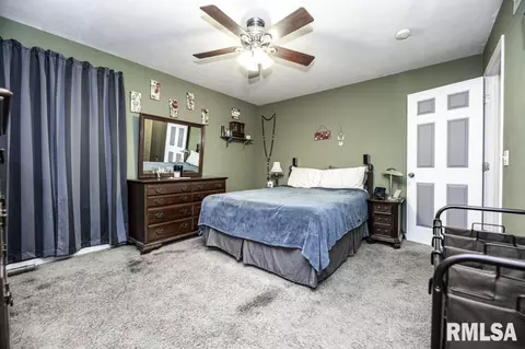 105 S Reiter St, Benson, IL 61516 photo 21