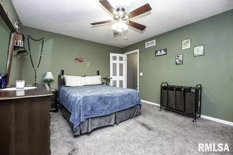 105 S Reiter St, Benson, IL 61516 photo 20