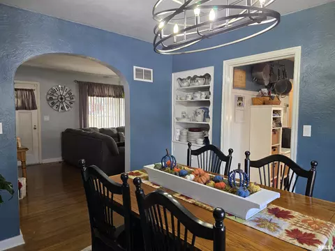 105 E Birch St, Canton, IL 61520 photo 23