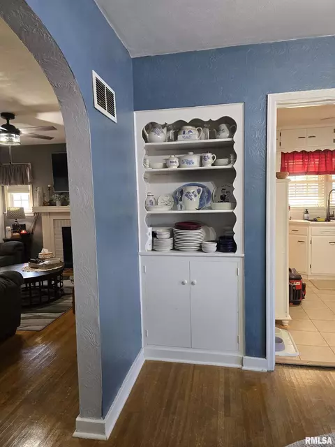 105 E Birch St, Canton, IL 61520 photo 28