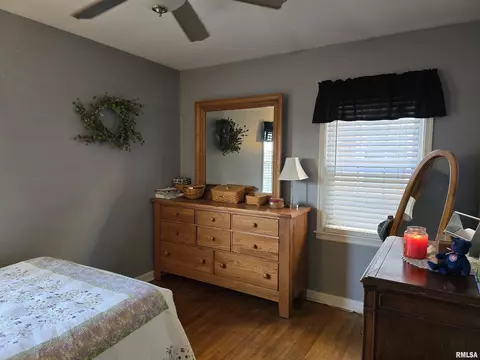 105 E Birch St, Canton, IL 61520 photo 22