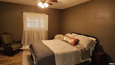 15 N 13th Ave, Canton, IL 61520 photo 28