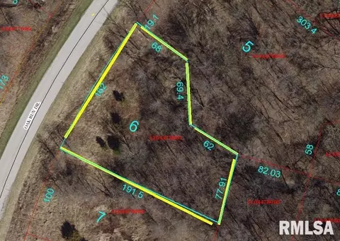 4006 Oak Run Dr, Dahinda, IL 61428