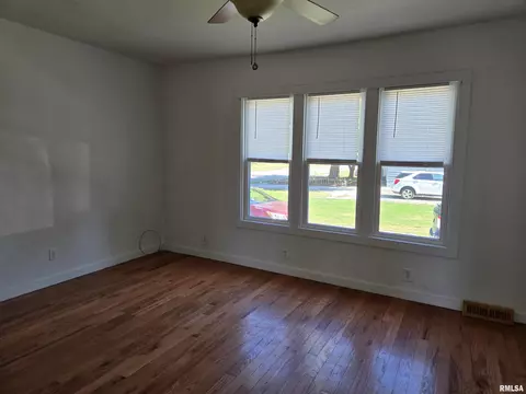 1122 E Chestnut St, Canton, IL 61520 photo 13