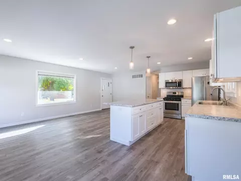 509 E 4th St, Delavan, IL 61734 photo 19