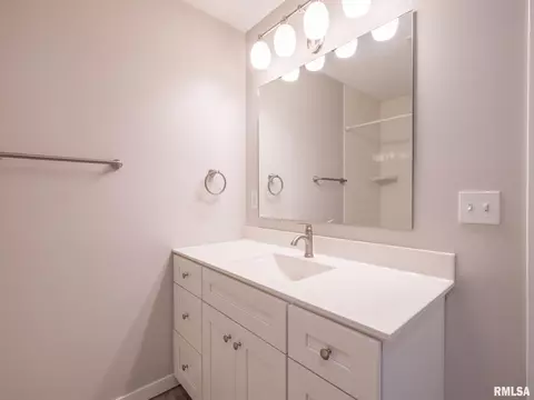 509 E 4th St, Delavan, IL 61734 photo 26