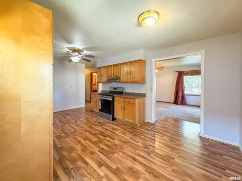 1002 E Gift Ave, Peoria, IL 61603 photo 9