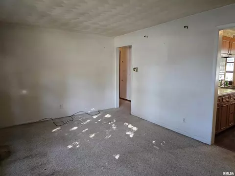 Living - 285 Iris Ct, Canton, IL 61520 photo 4 of 5