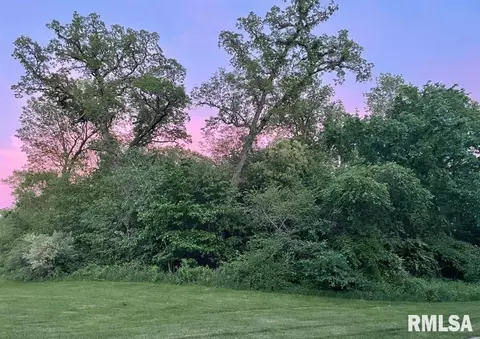 6610 W Stonebrook Dr, Edwards, IL 61528