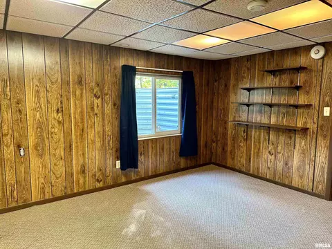119 Chestnut Dr, Morton, IL 61550 photo 29