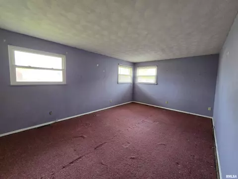 435 Dean Ct, Canton, IL 61520 photo 26