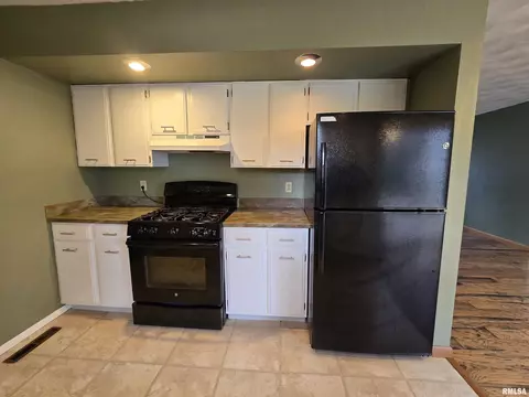 435 Dean Ct, Canton, IL 61520 photo 19