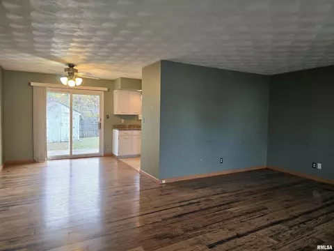 435 Dean Ct, Canton, IL 61520 photo 12