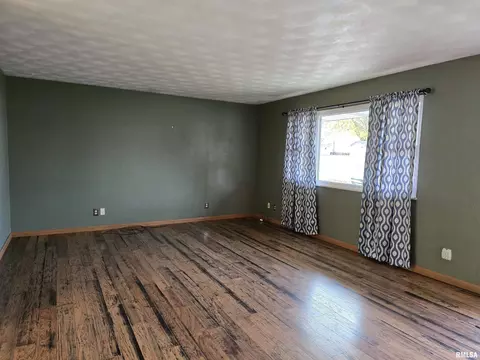 435 Dean Ct, Canton, IL 61520 photo 13