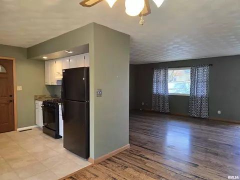 435 Dean Ct, Canton, IL 61520 photo 14