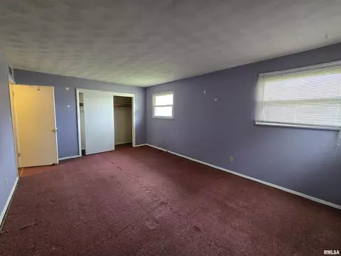 435 Dean Ct, Canton, IL 61520 photo 23