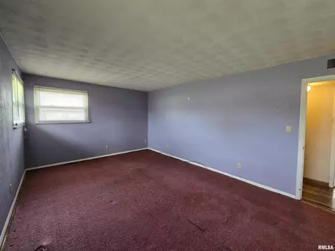 435 Dean Ct, Canton, IL 61520 photo 25