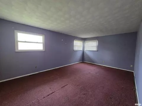 435 Dean Ct, Canton, IL 61520 photo 22