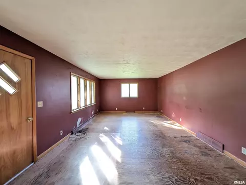 501 E 7th St, Delavan, IL 61734 photo 29