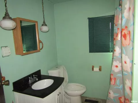 621 E Main St, Ipava, IL 61441 photo 29